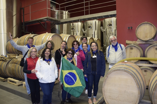 Album 4NOV - VISITA A VINICOLA