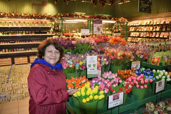 Album 9NOV RETORNO AO BRASIL